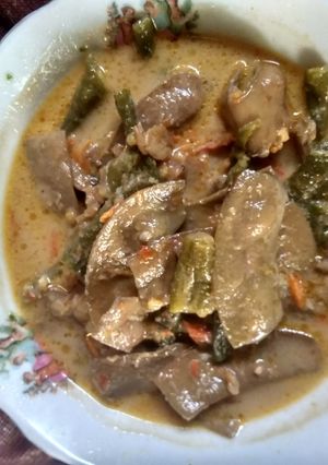 Foto resep Lodeh pedas Koro kerupuk dan kacang panjang