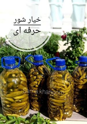 عکسی از دستور خیار شور حرفه ای