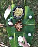 Gà nướng muối ớt bộc lá chuối Gà hấp nước mắm với lá chúc