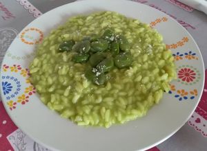 Foto di Risotto con crema di fave e pecorino