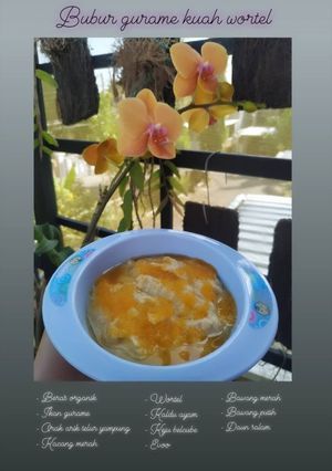 Foto resep Mpasi 7+ (Bubur gurame kuah wortel)