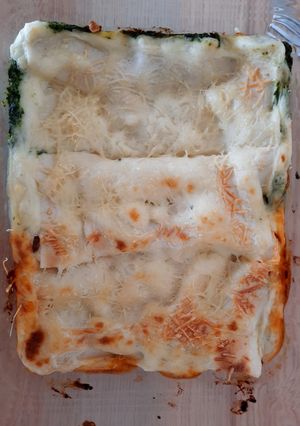 Une photo de Lasagnes : bi-goût