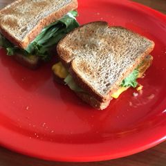 A picture of Veg healthy sandwich.