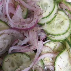 A picture of Keto cucumber salad.
