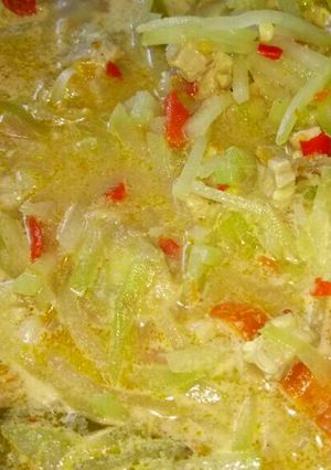 Foto resep Sayur lodeh labu siam