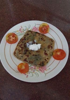 A picture of Dhania Parantha.