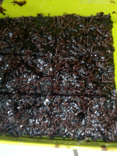 Foto resep Brownies kukus coklat lumer no mixer no bp no sp
