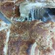 فطيرة بجبنه