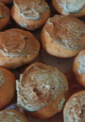 A picture of Simple vanilla cupcakes.