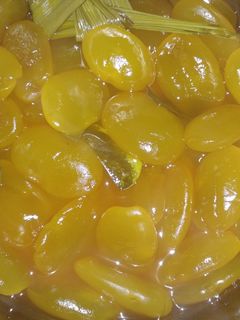 Foto resep Manisan kolang Kaling nutrisari