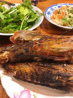 Hình của món Cá tắc kè nướng than.