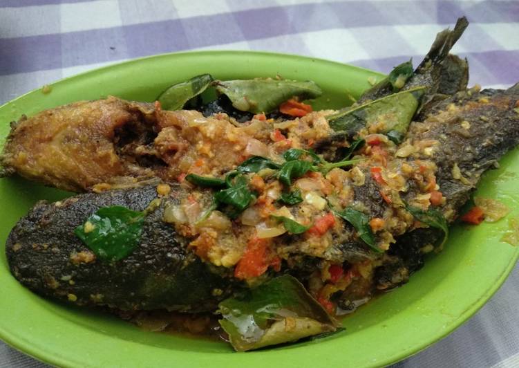 Resep Lele kemangi bumbu kuning Anti Gagal