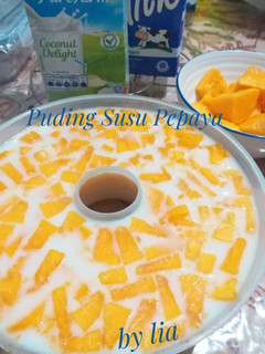 Foto resep Puding Susu Pepaya