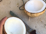 Coco