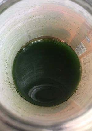 Foto resep Jus Pandan Serbaguna