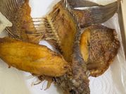 Gambar gurami mentega