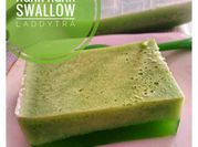 Gambar agar swallow santan kara