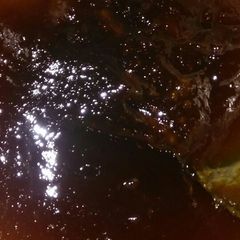 A picture of Cough syrup.