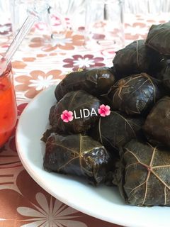 عکسی از دستور دلمه برگ