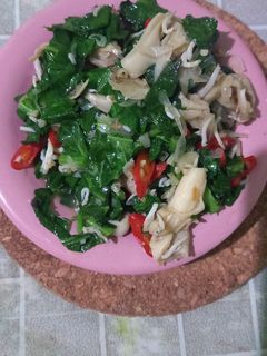 Foto resep Tumis Kailan