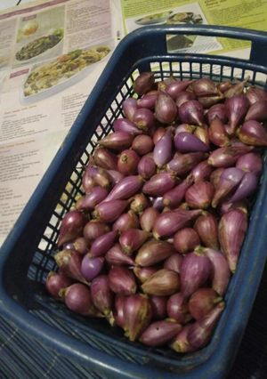 Foto resep Tips menyimpan bawang merah