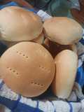 Chusca's pan