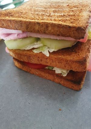 Une photo de Sandwich !