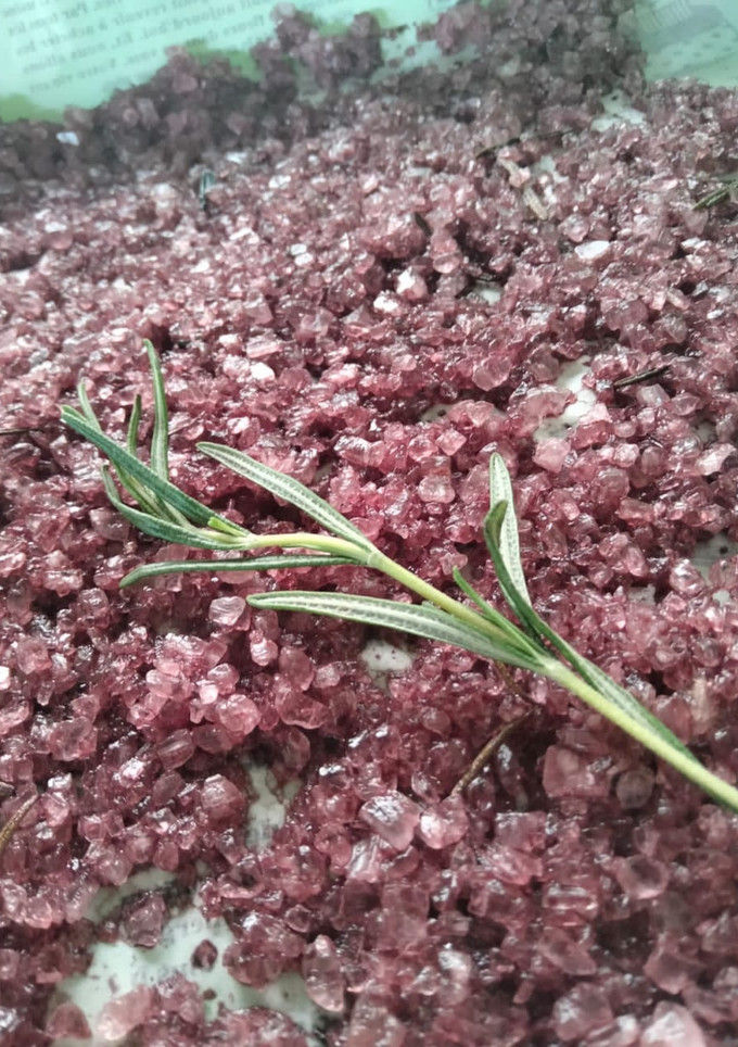 Una foto de Corte New York con queso de cabra, sal de vino tinto y romero es