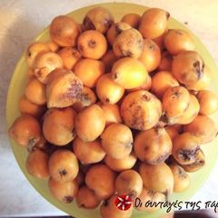 A picture of Loquat jam.