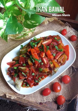 Gambar Ikan Bawal Masam Manis