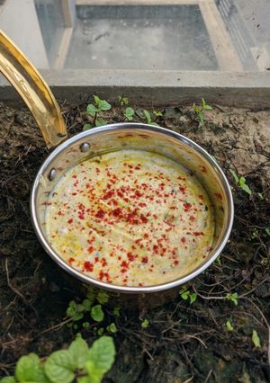 તંદુરી રાઇતું(Tanduri Raitu Recipe In Gujarati) રેસીપી મુખ્ય ફોટો