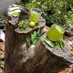 Cucumber mint cooler A picture of Cucumber mint cooler.