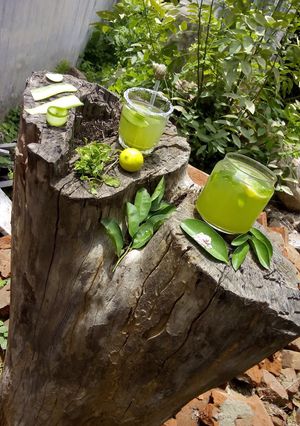 A picture of Cucumber mint cooler.