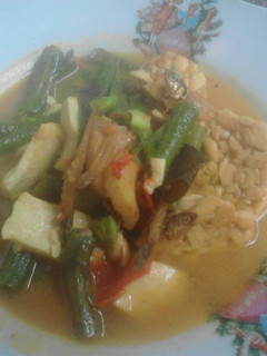 Foto resep Lodeh tahu tempe kacang panjang dkk