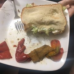 A picture of Berry turkey sandwich.