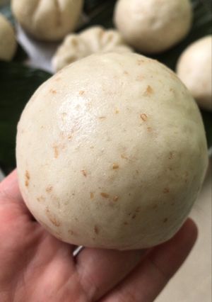 Foto resep Bakpao isi daging (nonhalal)