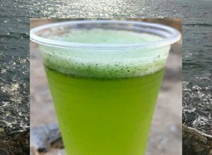 صورة لوصفة عصير الليمون بالنعناع 🌱🌱