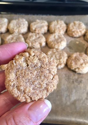 A picture of Bitesized Almond & Oat Biscuits.