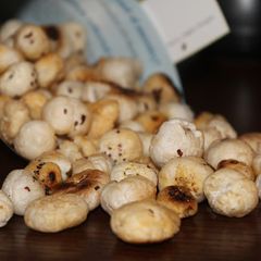 A picture of Fried Phool Makhana / desi popcorn.