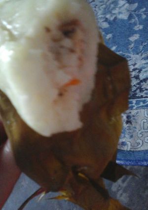 Foto resep Arem arem ala N'afreen
