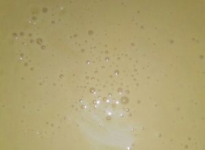 Una foto de Leche condensada