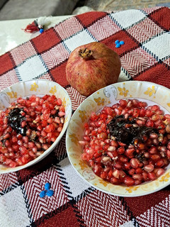 عکسی از دستور انار رب اناری