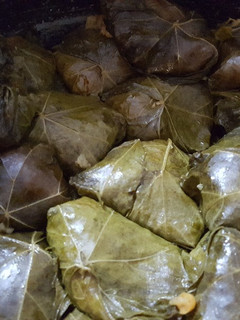 عکسی از دستور دلمه ی برگ مو