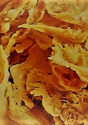 Foto resep Rempeyek Udang