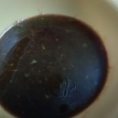 A picture of Tamarind Chutney.