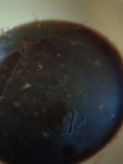 A picture of Tamarind Chutney.