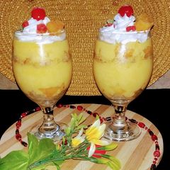 A picture of Custard.