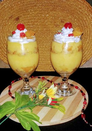 A picture of Custard.