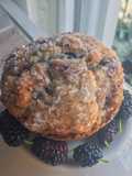 Wild Mulberry Muffins