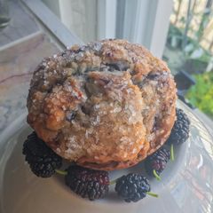 A picture of Wild Mulberry Muffins.
